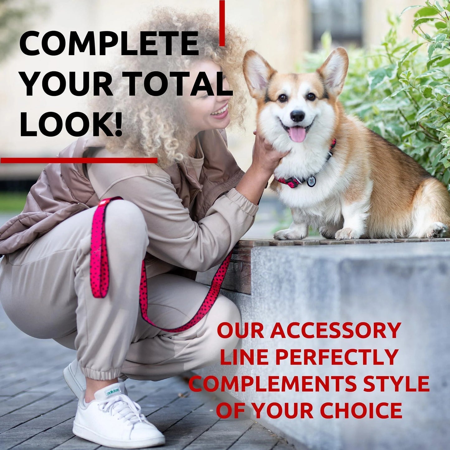 Nylon Dog Leash for Small Dogs and Medium Dogs 4 Ft Strong Dog Leash for Large Dogs Heavy Duty Dog Leashes for Large Breed Dogs & Puppy Leash for Small Boy & Girl Dogs