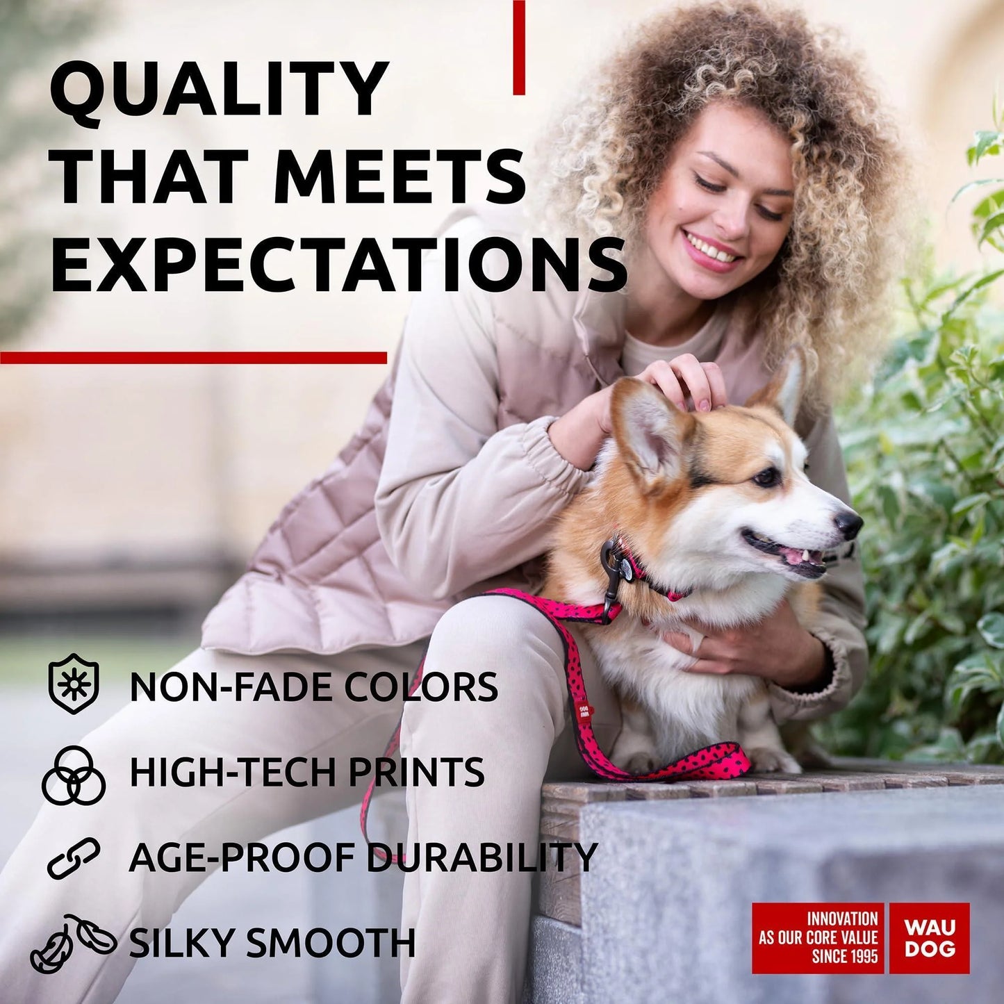 Nylon Dog Leash for Small Dogs and Medium Dogs 4 Ft Strong Dog Leash for Large Dogs Heavy Duty Dog Leashes for Large Breed Dogs & Puppy Leash for Small Boy & Girl Dogs