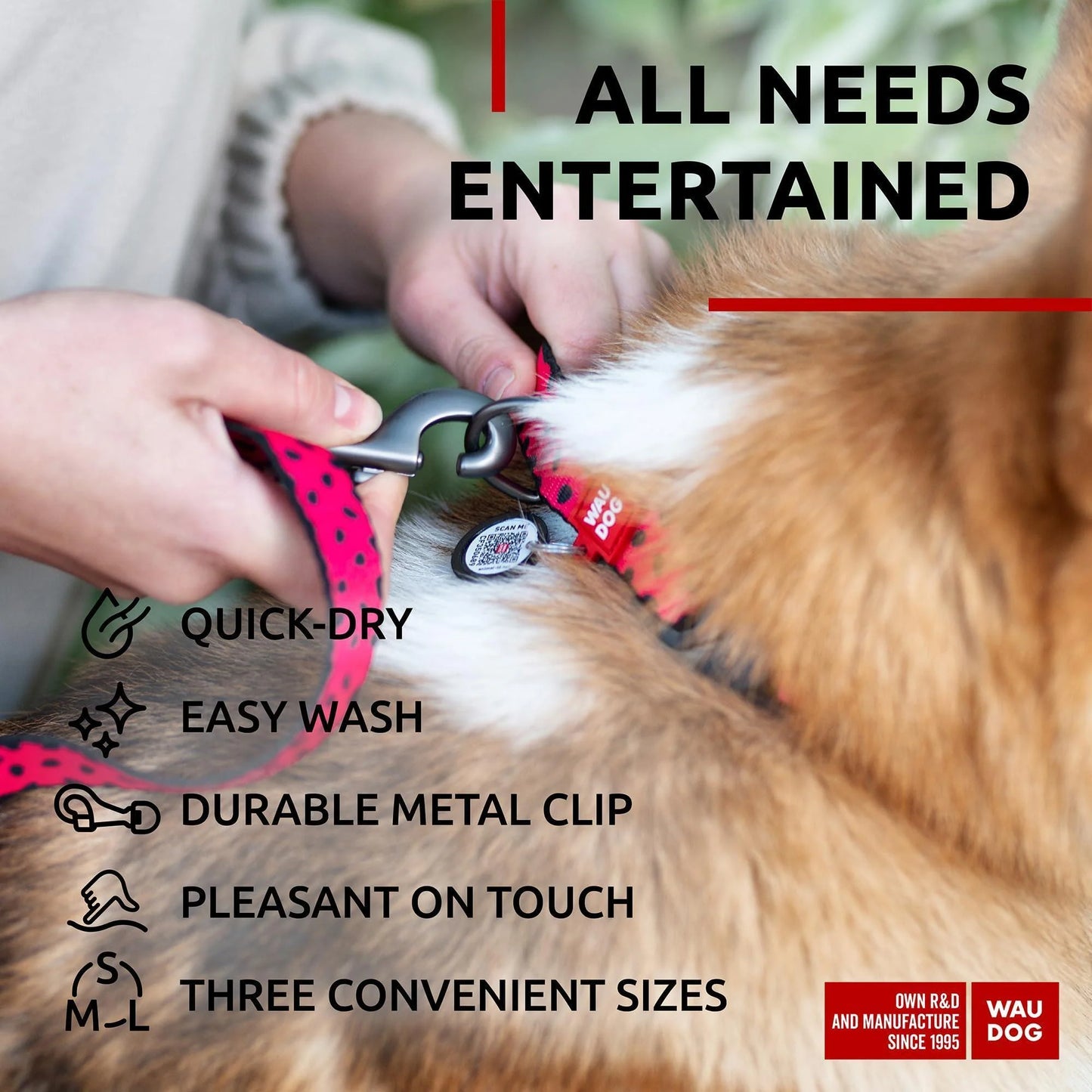 Nylon Dog Leash for Small Dogs and Medium Dogs 4 Ft Strong Dog Leash for Large Dogs Heavy Duty Dog Leashes for Large Breed Dogs & Puppy Leash for Small Boy & Girl Dogs