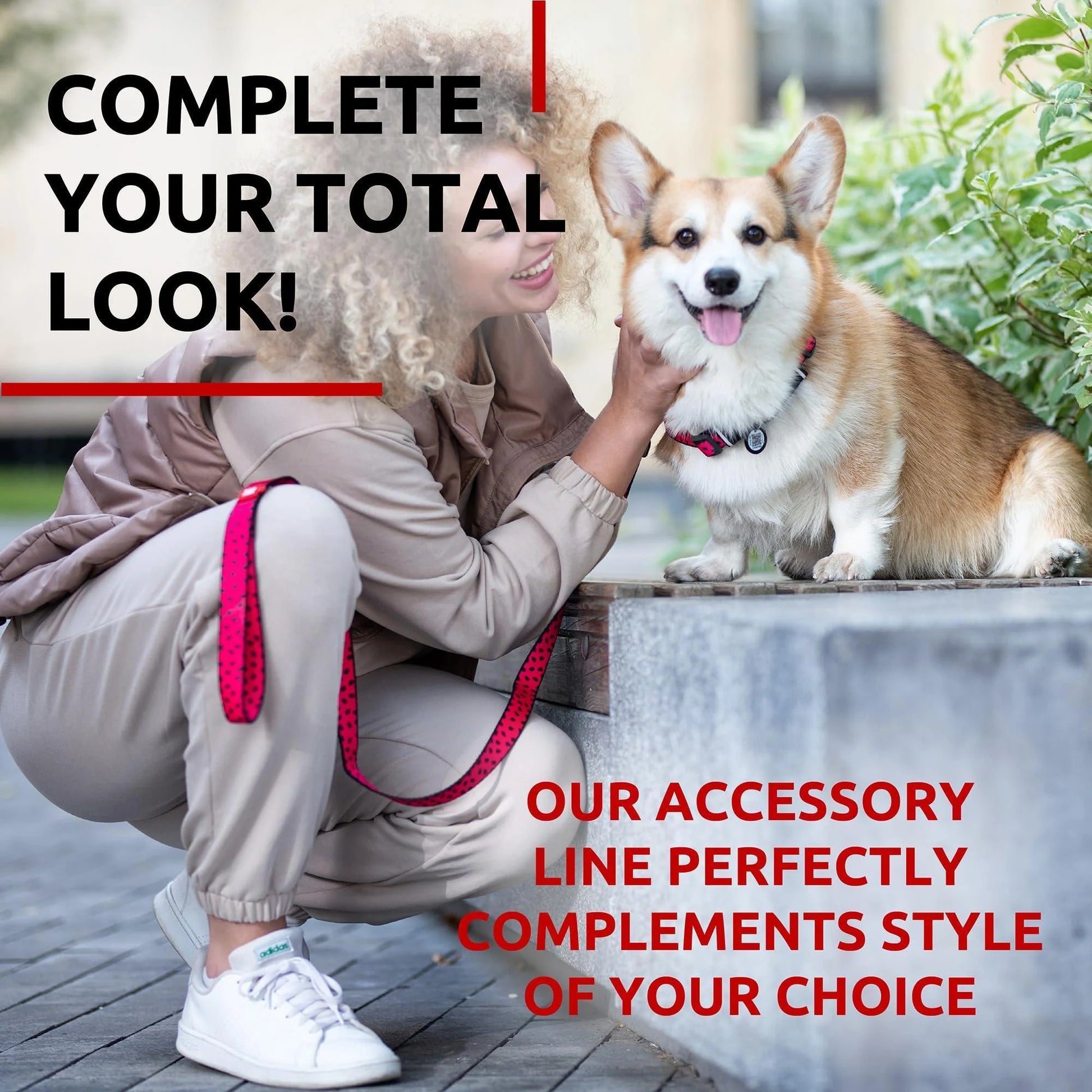 Nylon Dog Leash for Small Dogs and Medium Dogs 4 Ft Strong Dog Leash for Large Dogs Heavy Duty Dog Leashes for Large Breed Dogs & Puppy Leash for Small Boy & Girl Dogs