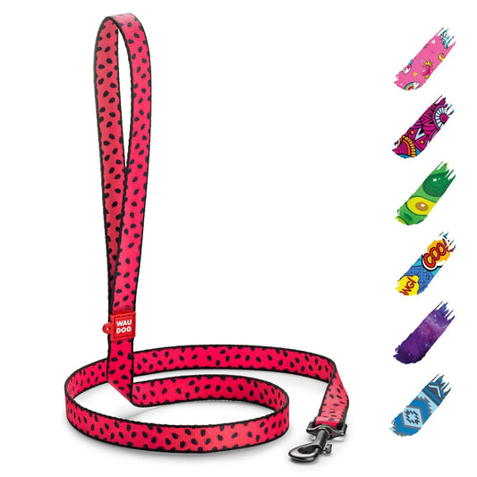 Nylon Dog Leash for Small Dogs and Medium Dogs 4 Ft Strong Dog Leash for Large Dogs Heavy Duty Dog Leashes for Large Breed Dogs & Puppy Leash for Small Boy & Girl Dogs